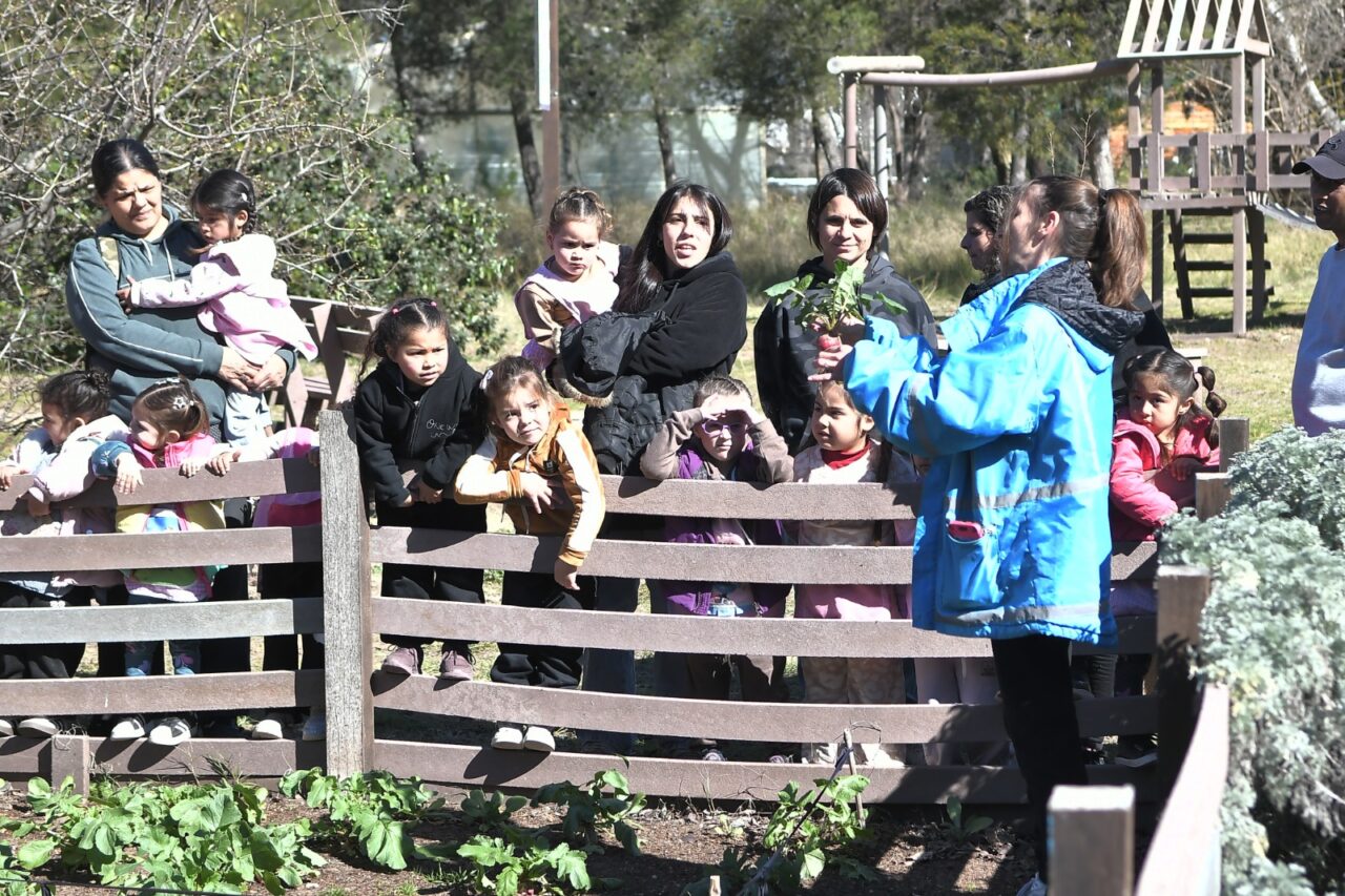 Educación ambiental: más instituciones se suman a la puesta en marcha de huertas comunitarias