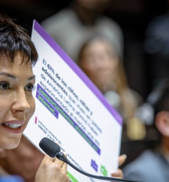 Legislatura bonaerense: media sanción en Diputados a la Ley Ema sobre violencia digital