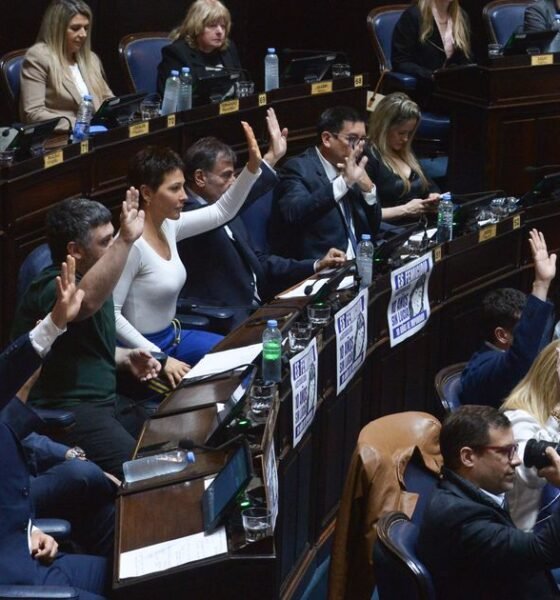Diputados: el peronismo logró aprobar un nuevo régimen de protección para familias sobreendeudadas