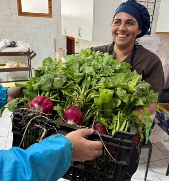 La huerta municipal cosechó alimentos y los distribuyó entre comedores