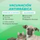 Se realizará una nueva campaña de vacunación antirrábica en Sierra de la Ventana y Saldungaray